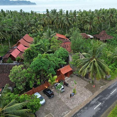 Java Turtle Lodge Meru Betiri بانيووانجى المظهر الخارجي الصورة