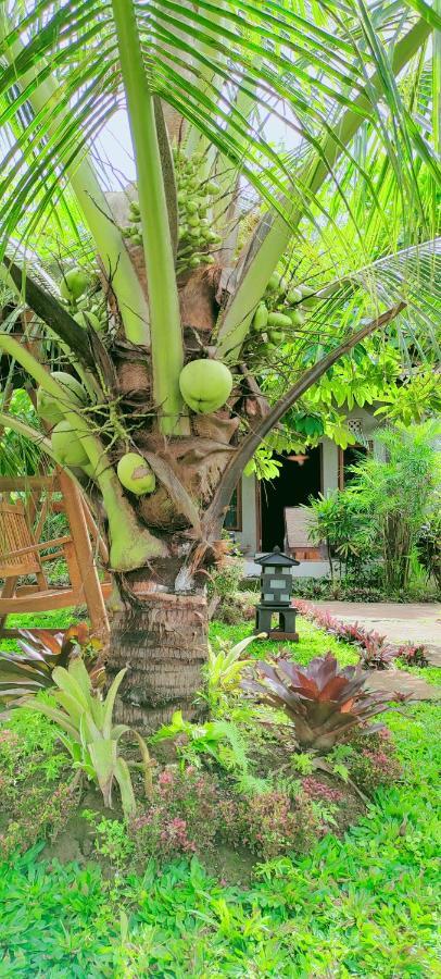Java Turtle Lodge Meru Betiri بانيووانجى المظهر الخارجي الصورة
