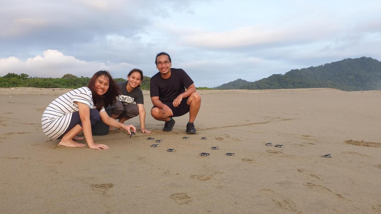 Java Turtle Lodge Meru Betiri بانيووانجى المظهر الخارجي الصورة