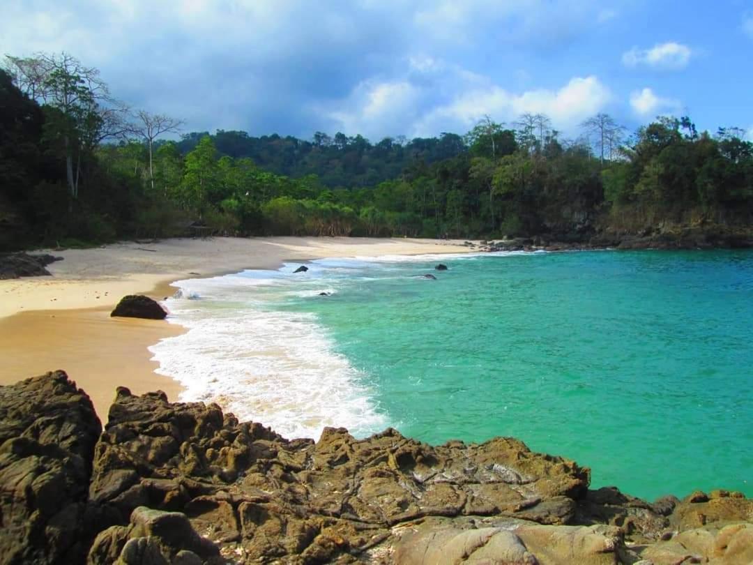 Java Turtle Lodge Meru Betiri بانيووانجى المظهر الخارجي الصورة