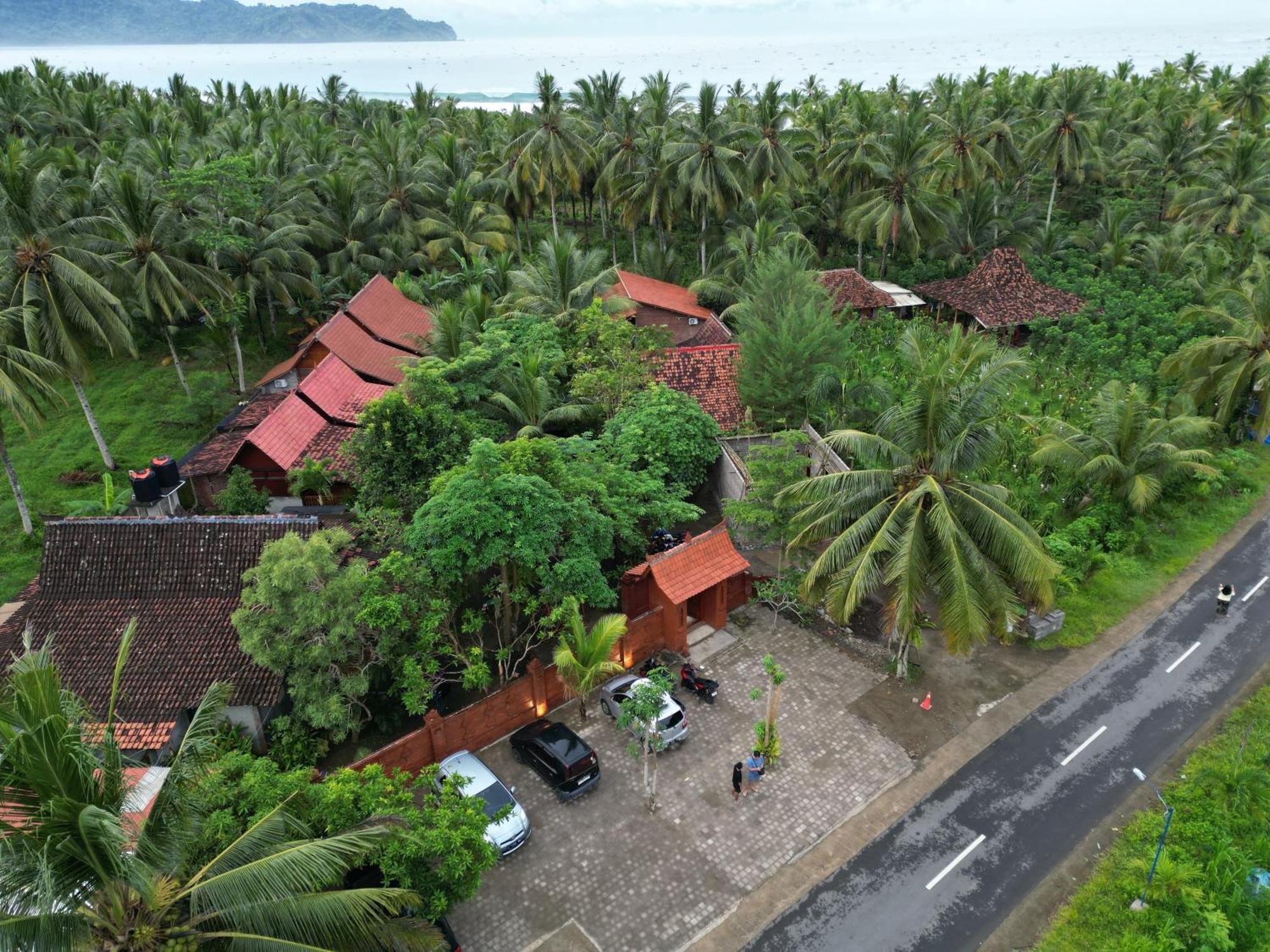 Java Turtle Lodge Meru Betiri بانيووانجى المظهر الخارجي الصورة