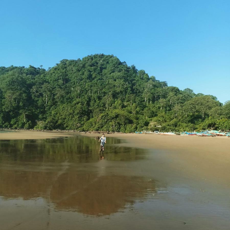 Java Turtle Lodge Meru Betiri بانيووانجى المظهر الخارجي الصورة
