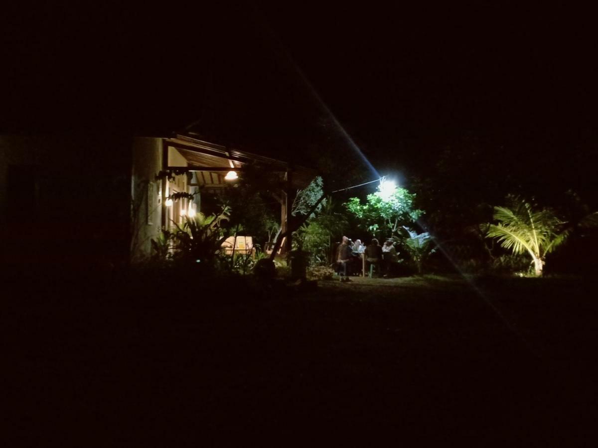 Java Turtle Lodge Meru Betiri بانيووانجى المظهر الخارجي الصورة