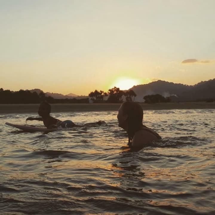 Java Turtle Lodge Meru Betiri بانيووانجى المظهر الخارجي الصورة