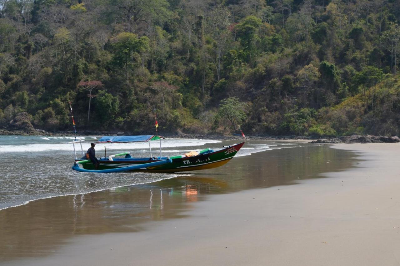 Java Turtle Lodge Meru Betiri بانيووانجى المظهر الخارجي الصورة
