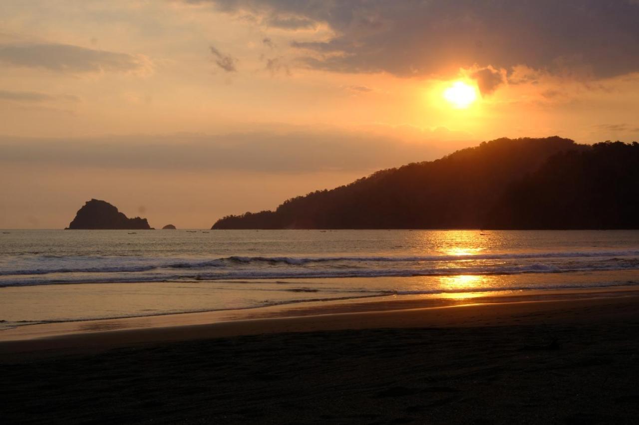 Java Turtle Lodge Meru Betiri بانيووانجى المظهر الخارجي الصورة